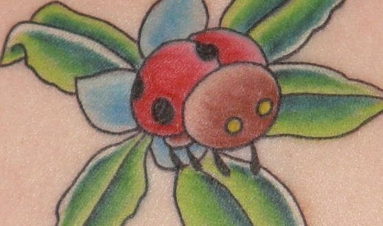 Ladybugs Tattoo Ideas Ladybugs Tattoo Ideas