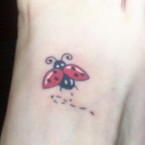 Ladybugs Tattoo Ideas Ladybugs Tattoo Ideas