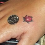 Ladybugs Tattoo Ideas Ladybugs Tattoo Ideas