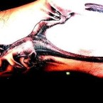 Tattoos of Lizards and Black Colors Tattoos of Lizards and Black Colors