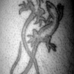 Tattoos of Lizards and Black Colors Tattoos of Lizards and Black Colors
